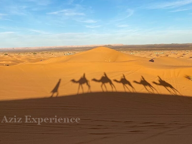 Merzouga camel trekking